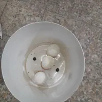 کولمن تسفیه اب|آب‌سردکن و تصفیه آب|رشت, عینک|دیوار