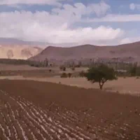 زمین کشاورزی روستای نوازن