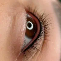 خدمات آرایش دائم . میکرو بلیدینگ  شید لب و بن مژه|خدمات آرایشگری و زیبایی|رشت, گلسار|دیوار