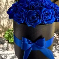 کیف|کیف، کفش، کمربند|ایلام, |دیوار