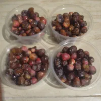 محصولات ارگانیک محلی خونگی جنت شهر|خوردنی و آشامیدنی|جنت, |دیوار
