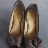 کفش ها درحدنو