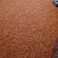 موکت ۹متری نو