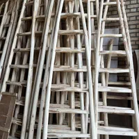 نردبان چوبی یکطرفه و دوطرفه تولیدی و پخش|خدمات پیشه و مهارت|مشهد, توس (بلوار توس)|دیوار