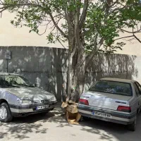 زمین با پروانه تجاری|فروش زمین و ملک کلنگی|مشهد, سراب|دیوار