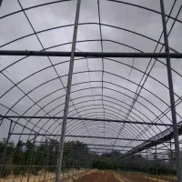 گلخانه|فروش دفتر صنعتی، کشاورزی، تجاری|شهرضا, |دیوار