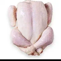 فروش مرغ منجمد کیلویی185تومان تنظیم بازار بازاریاب