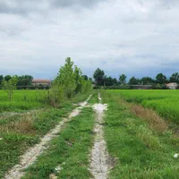 فروش زمین /مزرعه ۸۲۰۰ /مترمربع/ خاصه سرا/جماکو|فروش زمین و ملک کلنگی|تالش, هشتپر|دیوار