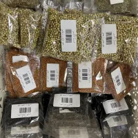 بذر انواع سبزی و صیفی جات