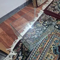 آکواریوم ارزان|ماهی|سقز, |دیوار