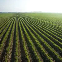 فروش زمین مسکونی روستای رزینی