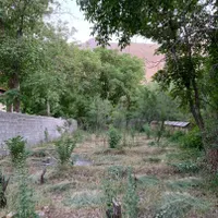۵۰۰ متر زمین با سند و مجوز ساخت در جاده چالوس|فروش زمین و ملک کلنگی|آسارا, |دیوار