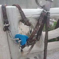 وسایل اسب سواری صفر تاصد موجوده|اسب و تجهیزات اسبسواری|باخزر, |دیوار