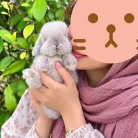 خرگوش لوپ هلوییان