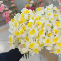 گل نرگس، بابونه. آفتابگردون، مینا