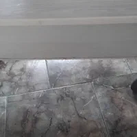 میز کامپیوتر