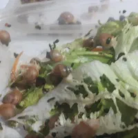 حلزون آلبینو|خزنده|اندیشه, اندیشه فاز ۱|دیوار