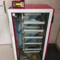 دستگاه جوجه کشی تمام اتوماتیک