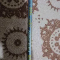 لنسر ماهی گیری|ماهیگیری|بروجرد, |دیوار