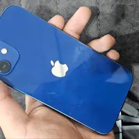 اپل iPhone 12 با حافظهٔ ۱۲۸ گیگابایت|موبایل|شیراز, هفت تنان|دیوار
