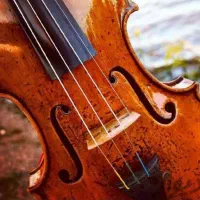 آموزش اصولی و حرفه ای ساز های ویولن و نی