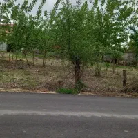 زمین-مسکونی-سند-دار-روستای-رودبنه-لاهیجان