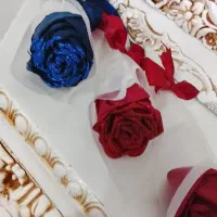 گل های روبانی(جاودان) همیشگی