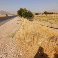 فروش باغچه تفریحی|فروش زمین و ملک کلنگی|میمند, |دیوار