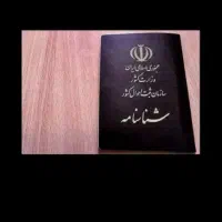 شناسنامه گمشده