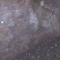 شهاب سنگ اکندریت الماس|جواهرات|مهاجران, |دیوار
