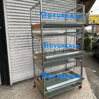 فروش بهتر+اکبر جوجه با قفس جوجه / قفس مرغ گوشتی|لوازم جانبی حیوانات|محمودآباد, |دیوار