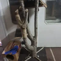 خونه گربه دست ساز