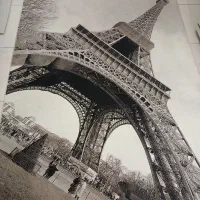 فرش ۶ متری و ۴ متری|فرش|تهران, آهنگران (سراسیاب دولاب)|دیوار