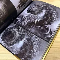 آرت بوک Art Book Dark souls 3|کنسول، بازی ویدئویی و آنلاین|تهران, بازار|دیوار