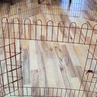 فنس نگهداری حیوانات خانگی