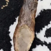 انگشتر
