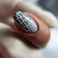 آموزش کاشت ناخن رایگان|خدمات آموزشی|بندر انزلی, شاکوچه|دیوار