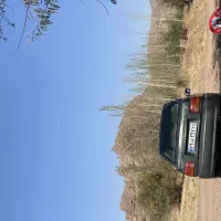 پراید۸۲|خودرو سواری و وانت|تربت‌حیدریه, حسنی بالا|دیوار