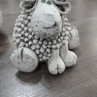 یک گوسفند دکتری خوشگل با جنس کچ