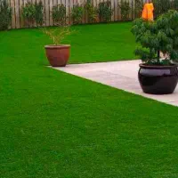 چمن مصنوعی/فنس چمنی/گرین وال/تایل ترموود،سنگ قلوه|مصالح و تجهیزات ساختمان|بندرعباس, |دیوار