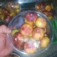 درود انجیر فروش فوری