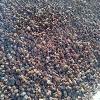 انواع تیغه دیواری شاهرود|مصالح و تجهیزات ساختمان|سبزوار, قصبه غربی|دیوار