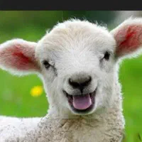 کارگر دامداری تمام وقت