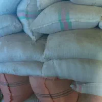 کاه سفید و‌ کاه نخود|حیوانات مزرعه|نجف‌آباد, قلعه سفید|دیوار