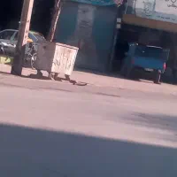 مغازه