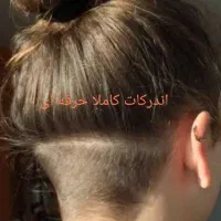کوتاهی مو تخصصی بانوان مسکن|خدمات آرایشگری و زیبایی|کرمانشاه, |دیوار