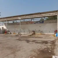 استخدام کارواش