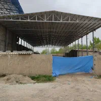 شیروانی اسکلت شینگل آلاچیق|خدمات پیشه و مهارت|شهریار, فرارت|دیوار