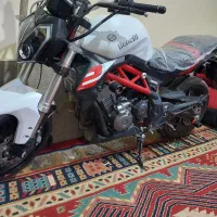 بنلی ۹۹ سه سال خوابیده