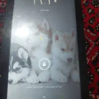 تبلت|تبلت|بیرجند, |دیوار